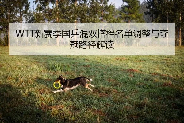 WTT新赛季国乒混双搭档名单调整与夺冠路径解读